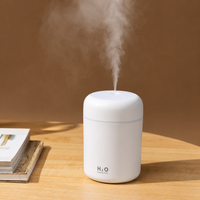 Humidifier with LED Light for Room, Office & Car(Grey)