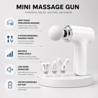 Mini Massage Gun – White Box