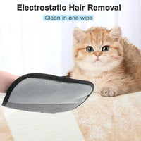 Pet Hair Remover